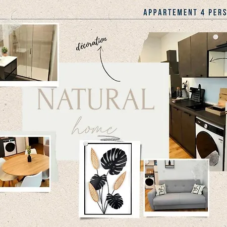 Natural 4 Pers Wifi Parking * קלרמונט-פרנד