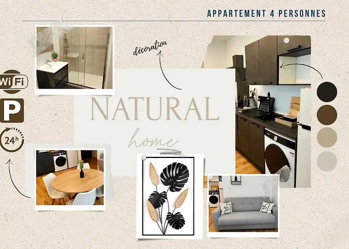 Natural 4 Pers Wifi Parking * Clermont-Ferrand